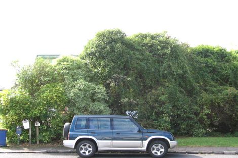 Photo of property in 4/17 Ribblesdale Road, Henderson, Auckland, 0612