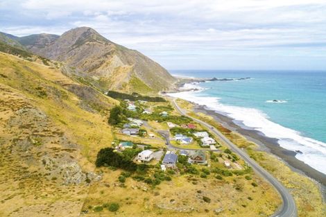 Photo of property in 3129 Mangatoetoe Grove, Cape Palliser, Pirinoa, 5772