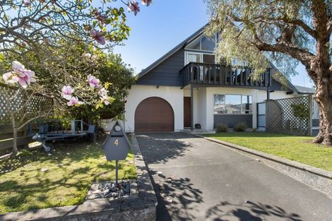 Photo of property in 4 Bristol Street, Tamatea, Napier, 4112