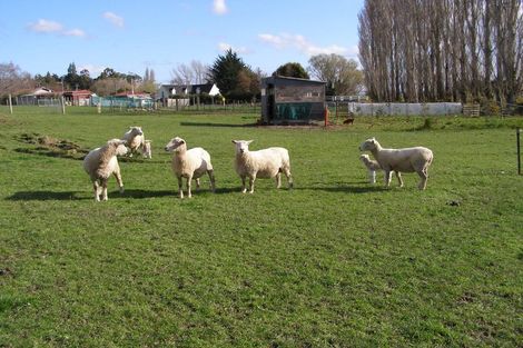 Photo of property in 77 Lochiel Branxholme Road, Lochiel, Winton, 9781