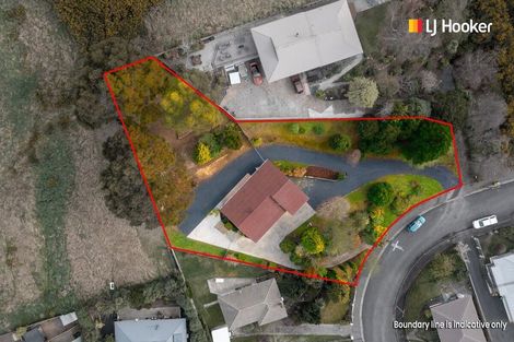 Photo of property in 31 Saint Albans Street, Bradford, Dunedin, 9011