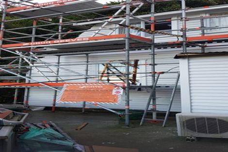 Photo of property in 136 Raroa Road, Aro Valley, Wellington, 6012