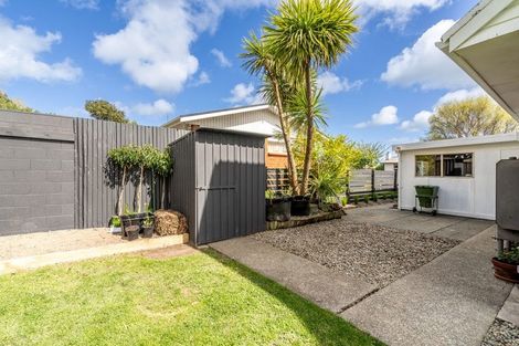 Photo of property in 209 Ward Street, Hargest, Invercargill, 9810