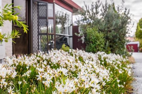 Photo of property in 1/41a Titirangi Road, New Lynn, Auckland, 0600