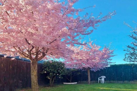 Photo of property in 24 Date Crescent, Aidanfield, Christchurch, 8025