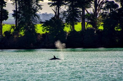 Photo of property in 31 Opouatu Avenue, Glenbrook, 2681