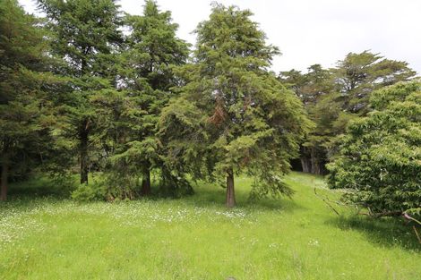 Photo of property in 1 Old Mill Road, Donnellys Crossing, Dargaville, 0379