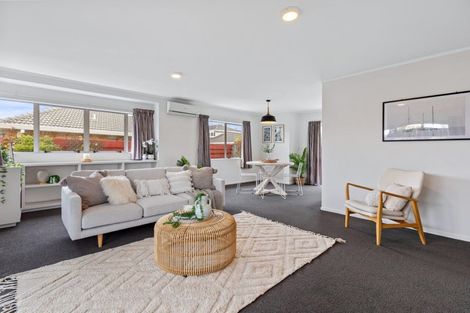 Photo of property in 207a Grenada Street, Mount Maunganui, 3116