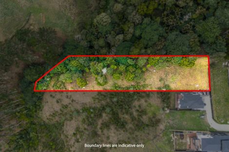 Photo of property in 11 Grand Ridge Avenue, Flat Bush, Auckland, 2019