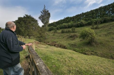 Photo of property in 294 Wharawhara Road, Tahawai, Katikati, 3178