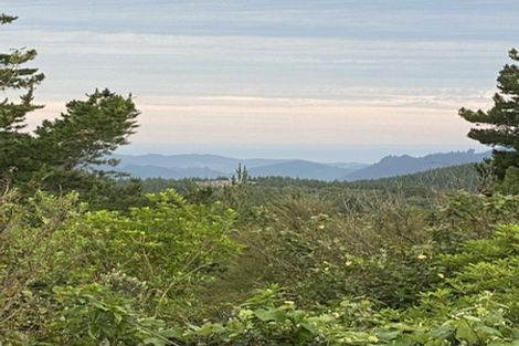 Photo of property in 338 Tuahu Road, Tauwhareparae, Tolaga Bay, 4077