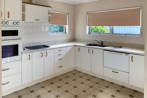 Photo of property in 19 Erin Street, Hokowhitu, Palmerston North, 4410