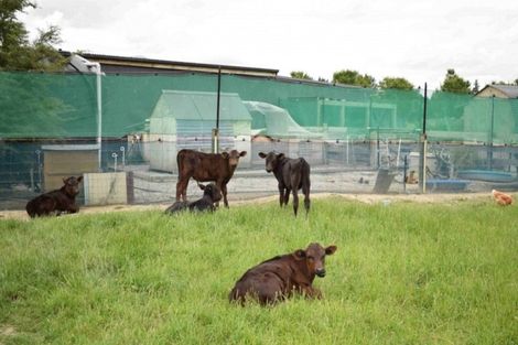 Photo of property in 226p Woodbank Road, Hanmer Springs, 7334