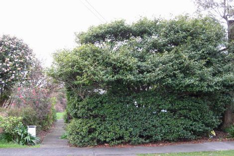 Photo of property in 573-575 Queen Street East, Levin, 5510