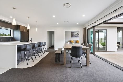 Photo of property in 170 Shirriffs Road, Awapuni, Palmerston North, 4412