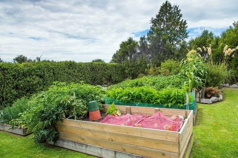 Photo of property in 306 Downs Road, Geraldine Downs, Geraldine, 7991