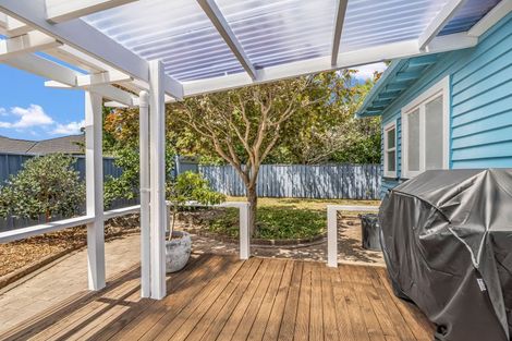 Photo of property in 93 Wood Street, Takaro, Palmerston North, 4410