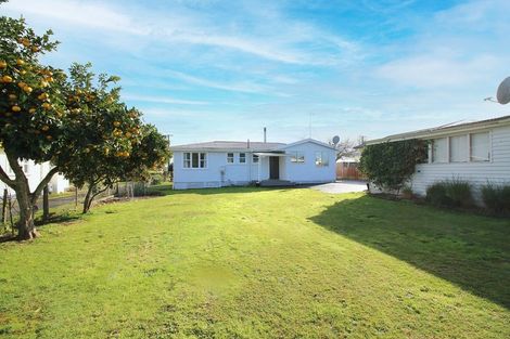 Photo of property in 65 Frontier Road, Te Awamutu, 3876