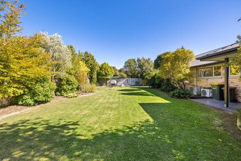 Photo of property in 221 Lowes Road, Rolleston, 7614