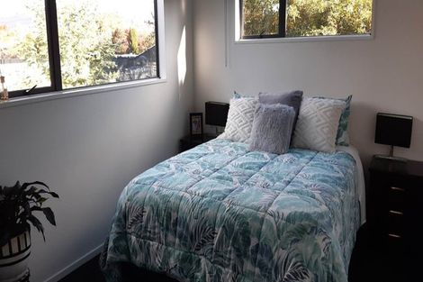 Photo of property in 22a Clutha Street, Alexandra, 9320