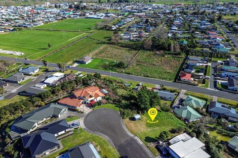 Photo of property in 19 Ohinemuri Place, Paeroa, 3600