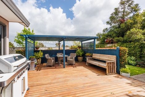 Photo of property in 18 Ursula Drive, Feilding, 4702