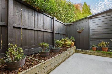 Photo of property in 111 Boucher Avenue, Te Puke, 3119