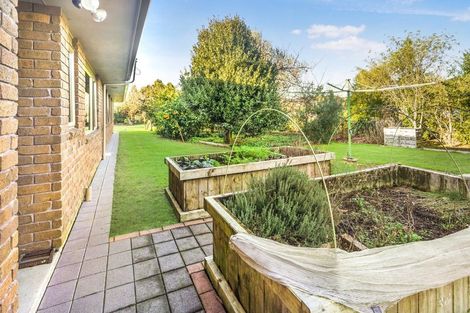 Photo of property in 264 Lake View Drive, Karapiro, Cambridge, 3494