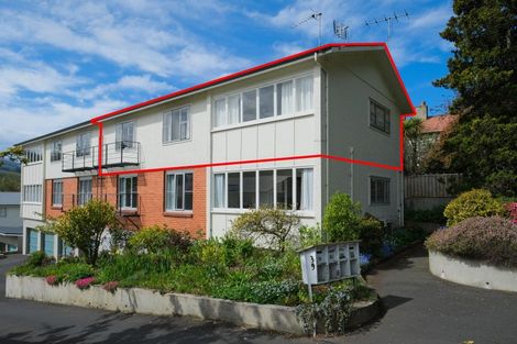 Photo of property in 39 Opoho Road, North East Valley, Dunedin, 9010