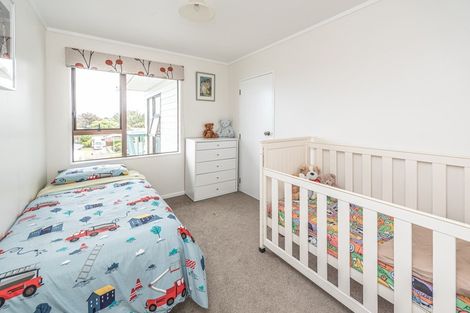 Photo of property in 68 Treadwell Street, Springvale, Whanganui, 4501