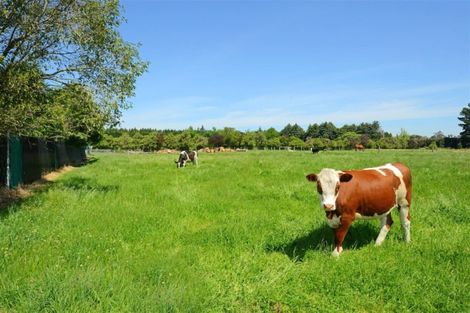 Photo of property in 484 Weedons Ross Road, West Melton, Christchurch, 7675