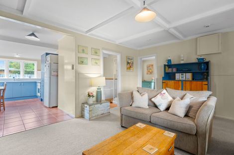 Photo of property in 52 Princess Street, Martinborough, 5711