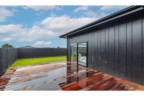 Photo of property in 17 Nathaniel Archer Street, Woodend, 7610