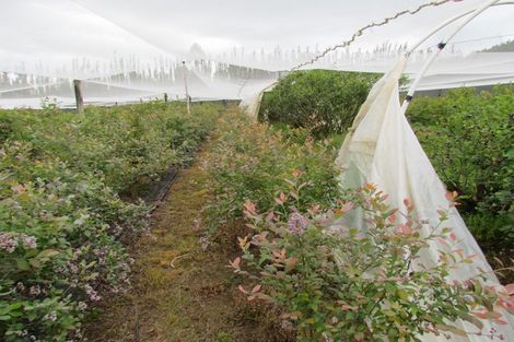 Photo of property in 71c Keri Downs Road, Kerikeri, 0294