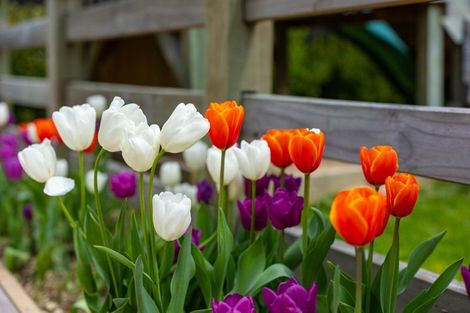 Photo of property in 76 Lakings Road, Yelverton, Blenheim, 7201