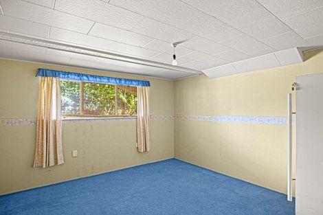 Photo of property in 9 Dunorling Street, Alexandra, 9320
