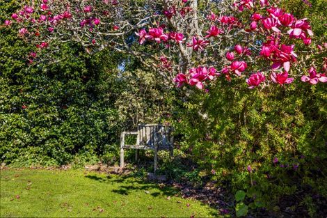 Photo of property in 35 Smith Street, Waverley, 4510