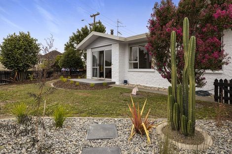 Photo of property in 42c Hutcheson Street, Mayfield, Blenheim, 7201