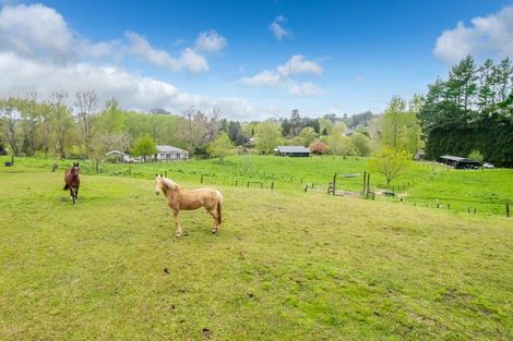 Photo of property in 140h Tebbutt Road, Lower Kaimai, Tauranga, 3171