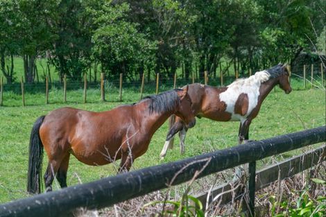 Photo of property in 121 North Manakau Road, Manakau, 5573