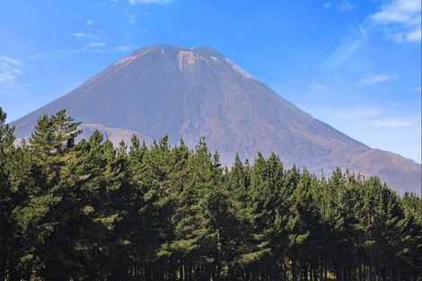 Photo of property in 56 Findlay Street, National Park, Owhango, 3989