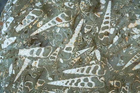 Photo of property in 23 Rangihiroa Street, Waikanae Beach, Waikanae, 5036