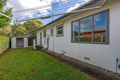 Photo of property in 390 Ruahine Street, Terrace End, Palmerston North, 4410