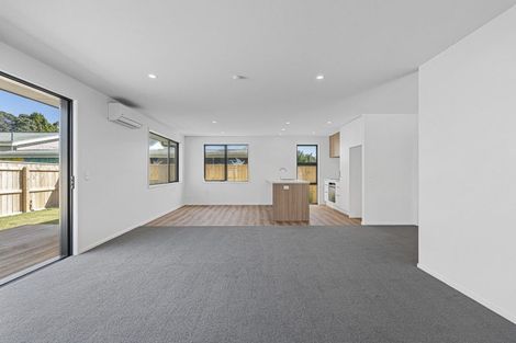Photo of property in 45a Princess Street, Waitara, 4320