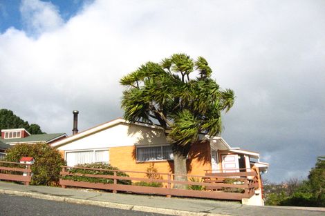 Photo of property in 19 Elliffe Place, Shiel Hill, Dunedin, 9013