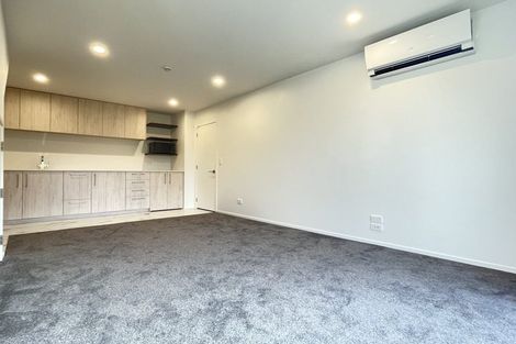 Photo of property in 17c Dickens Street, Addington, Christchurch, 8024