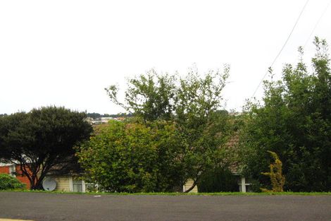 Photo of property in 80 Panmure Avenue, Calton Hill, Dunedin, 9012