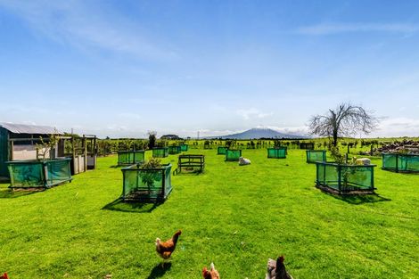 Photo of property in 43 Quinns Road, Normanby, Hawera, 4673