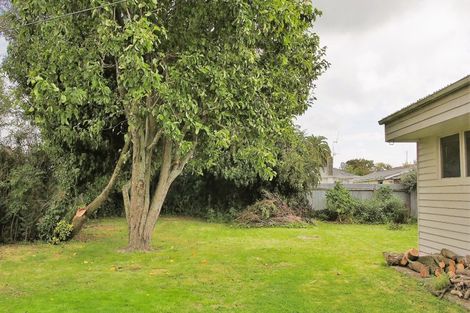 Photo of property in 36 Kettle Avenue, Awapuni, Palmerston North, 4412