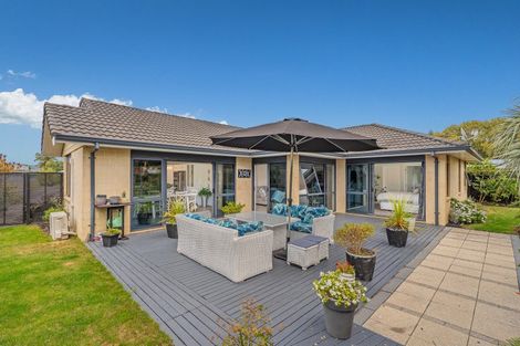 Photo of property in 31 Wells Place, Whitianga, 3510